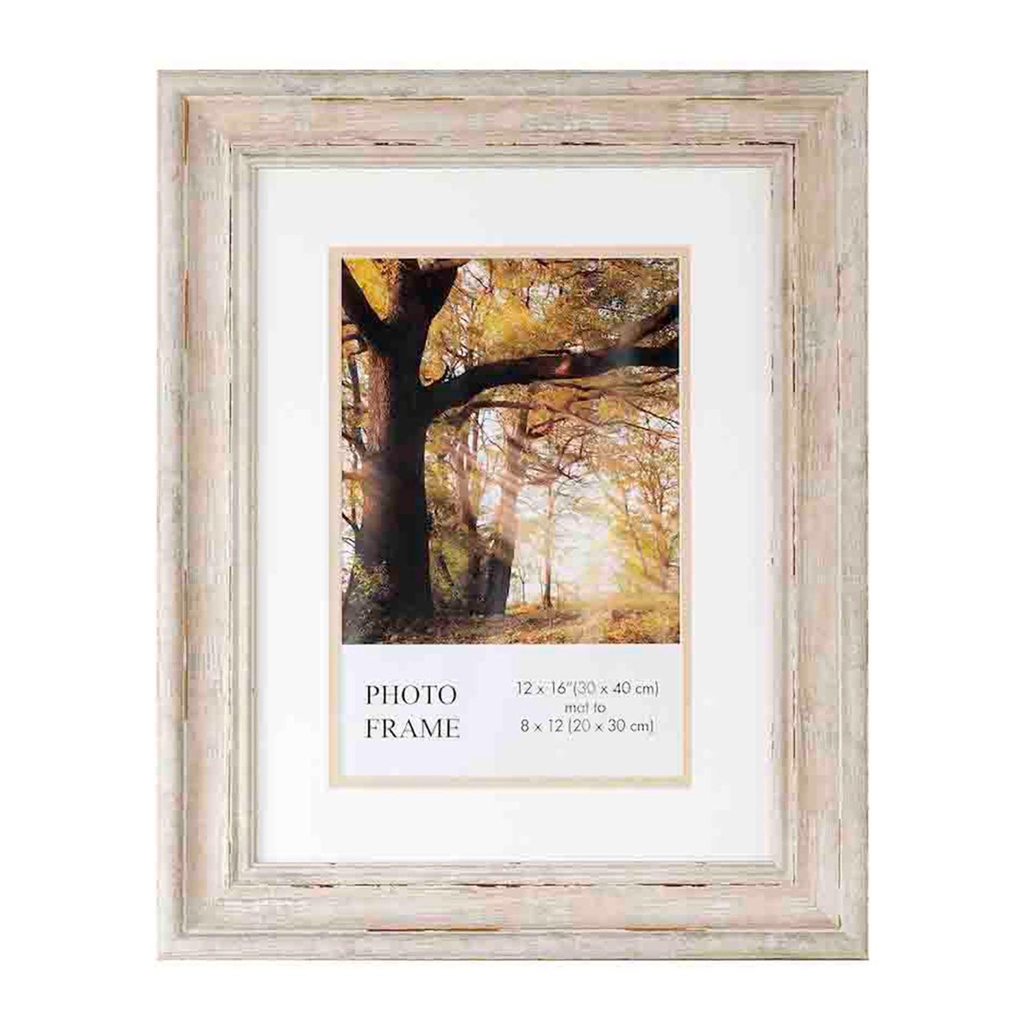 Wren Photo Frame with Mount 10x12" Home Store + More